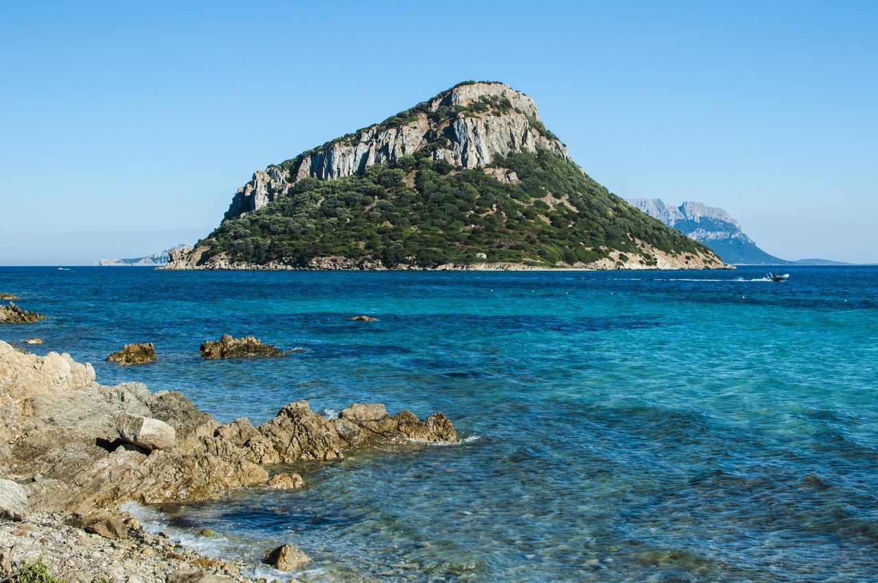 Hotel Maria Golfo Aranci Dış mekan fotoğraf