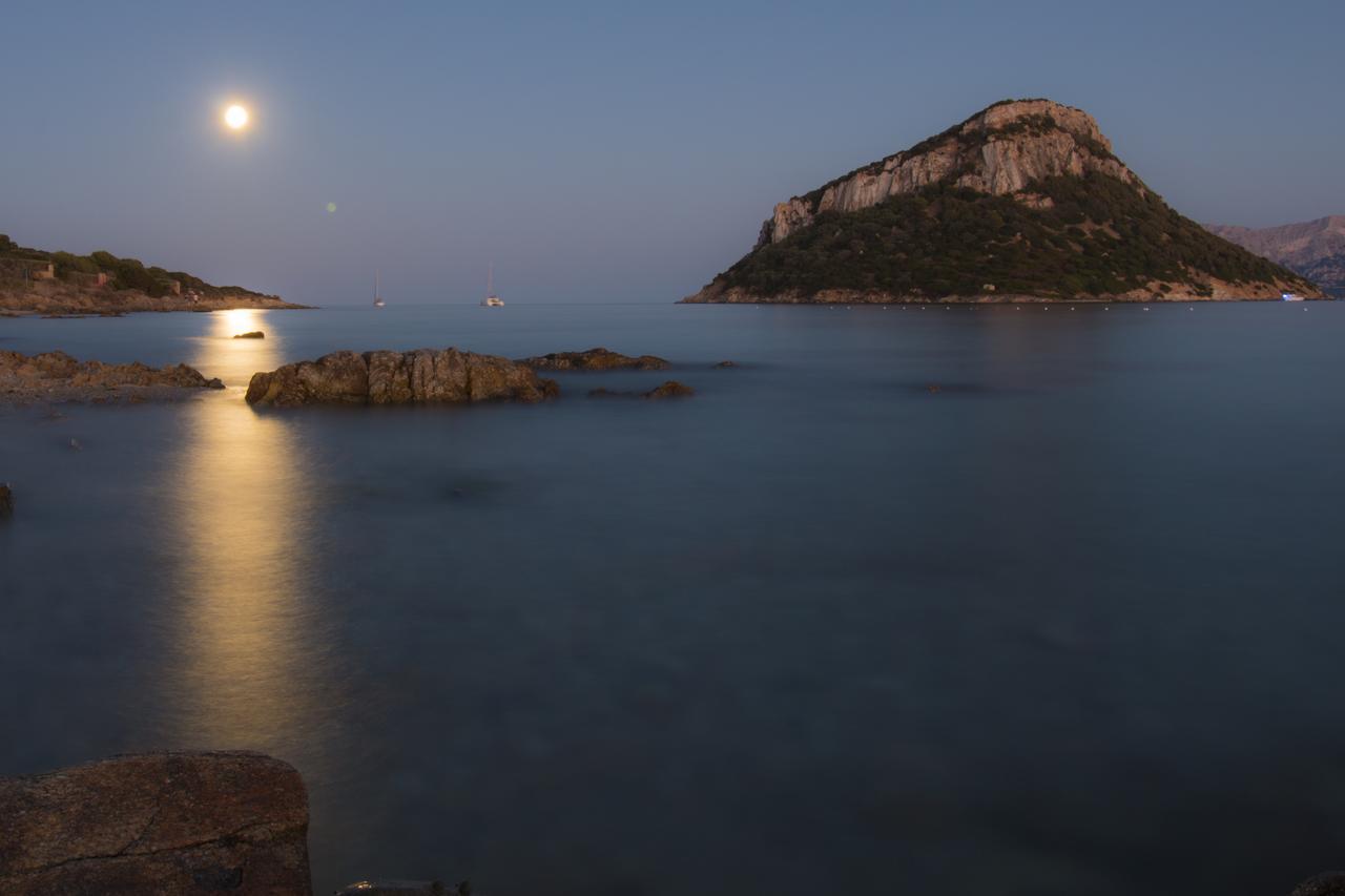 Hotel Maria Golfo Aranci Dış mekan fotoğraf