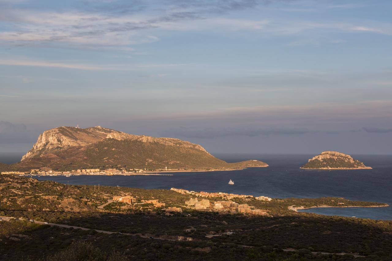 Hotel Maria Golfo Aranci Dış mekan fotoğraf